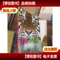 炫动科技:动物诺亚舟