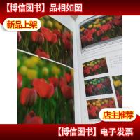 数码单反摄影宝典