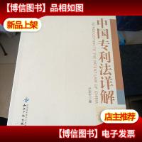 中国专利法详解
