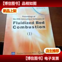 第20届国际流化床燃烧会议论文集[一]英文