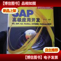 SAP*应用开发:RFCBAPIALEWorkflowSAP连接器WebDynpro 及BSP