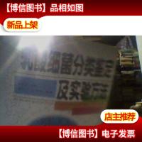 乳酸细菌分类鉴定及实验方法