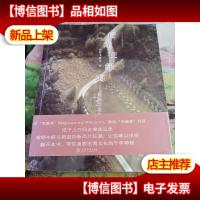 行走在绿海:新西兰私游志