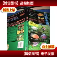 观赏鱼饲养一本通