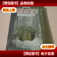 野生灵芝探秘与应用,