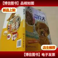 宠尚生活系列:贵宾犬