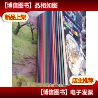 游乐场/*次发现丛书·手电筒系列 *次发现丛书 19本合