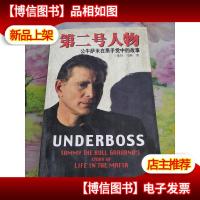 第二号人物——公牛萨米在黑手党中的故事