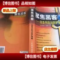 聚焦黑客:攻击手段与防护策略