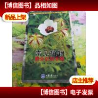 常见植物野外识别手册