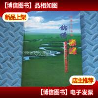 草原文化名城——锦绣赤峰 *