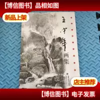王中年画集