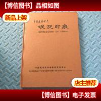 中国书画世界 埃及印象