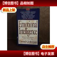 Emotional Intelligence why it can matter more than IQ