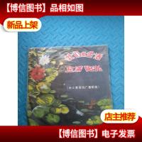 唱片黑胶《*生活充满阳光》全四面