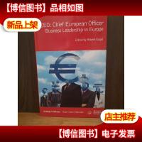 Chief European Officer: Business Leadership In Europe