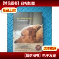 我只能短暂地陪你过一生: 与狗狗莫儿相伴13年