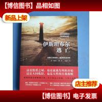 伊斯坦布尔逃亡