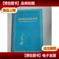 钢的表面缺陷图谱