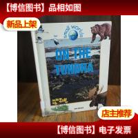 On the Tundra (Small Worlds)