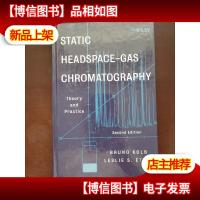 static headspace-gas chromatocraphy 静态顶空气相色谱