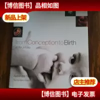 From Conception to Birth: A Life Unfolds