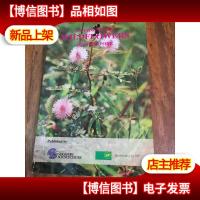 A Guide to the Wildflowers of Singapore 新加坡野花指南