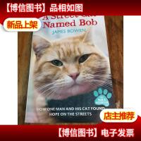 A Street Cat Named Bob: How one man and his cat found hope o