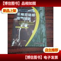 非常规陆相油气储层:以湖相低渗透砂砾岩和裂缝性白云岩储层为例