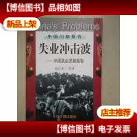 失业冲击波:中国就业发展报告