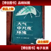 大气中尺度环流