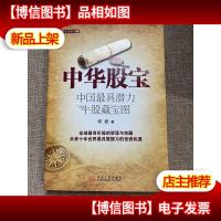 中华股宝:中国*潜力的牛股藏宝图