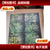 与大自然捉迷藏.1.蝶类毛虫·蝴蝶·蝶蛹+2.飞蛾·蛾类毛虫·竹节