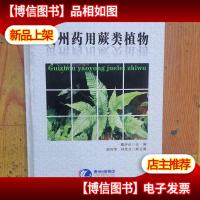 贵州*用蕨类植物