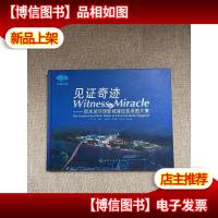 见证奇迹:新加坡环球影城建设实录图片集