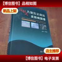 反射式共聚焦显微镜皮肤病图谱