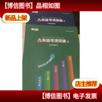 平行线教育 九年级专项突破 上下册 中考专题系列