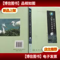 厦门大屿岛白鹭自然保护区