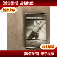 极地英雄汤姆·克林传