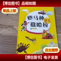 亚马孙遇见撒哈拉