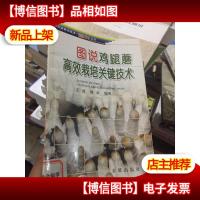 图说鸡腿蘑高效栽培关键技术——食用菌栽培技术图说丛书