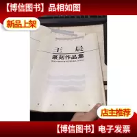 王晨篆刻作品集