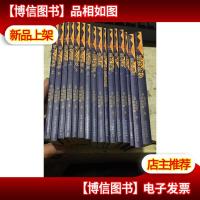 玛丽尼娜侦探小说系列 [全套12册共16本合售]