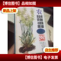 农田杂草识别与防除图谱——植保彩色图谱丛书