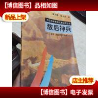 敌后神兵:八路军新四军反“扫荡”纪实