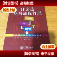 什么是业务流程管理:组织价值链管理和流程改进的突破性战略