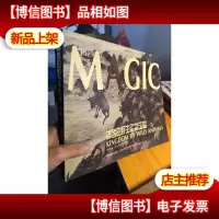 神奇的野生动物王国