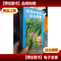 库存新书 实用中草*彩色图集