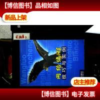 网络编程技巧与实例