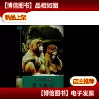 云海探奇2-鹰飞猴叫